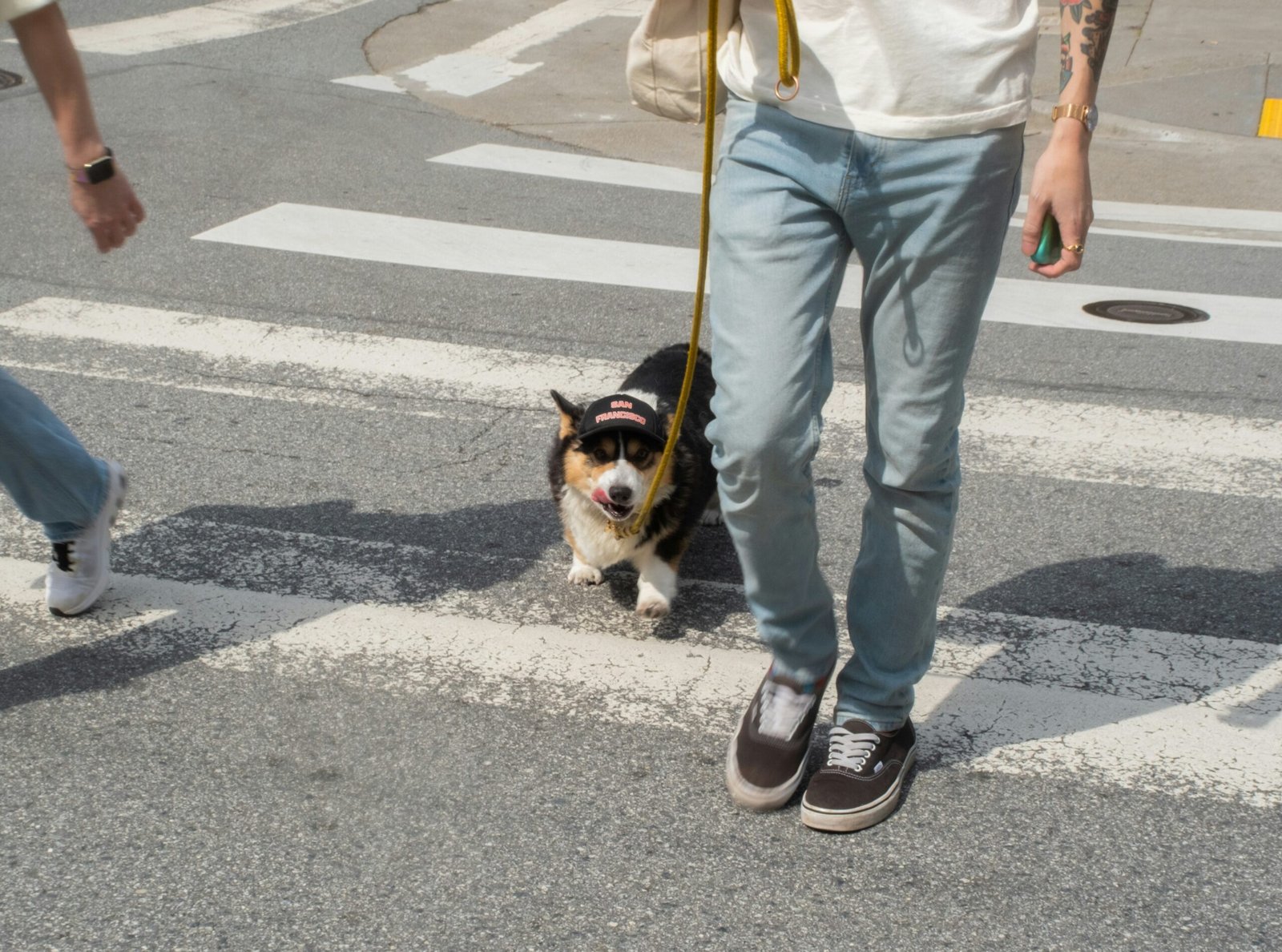  SHOPPING GUIDE Dog-Lover Style You’ll Actually Want to Wear