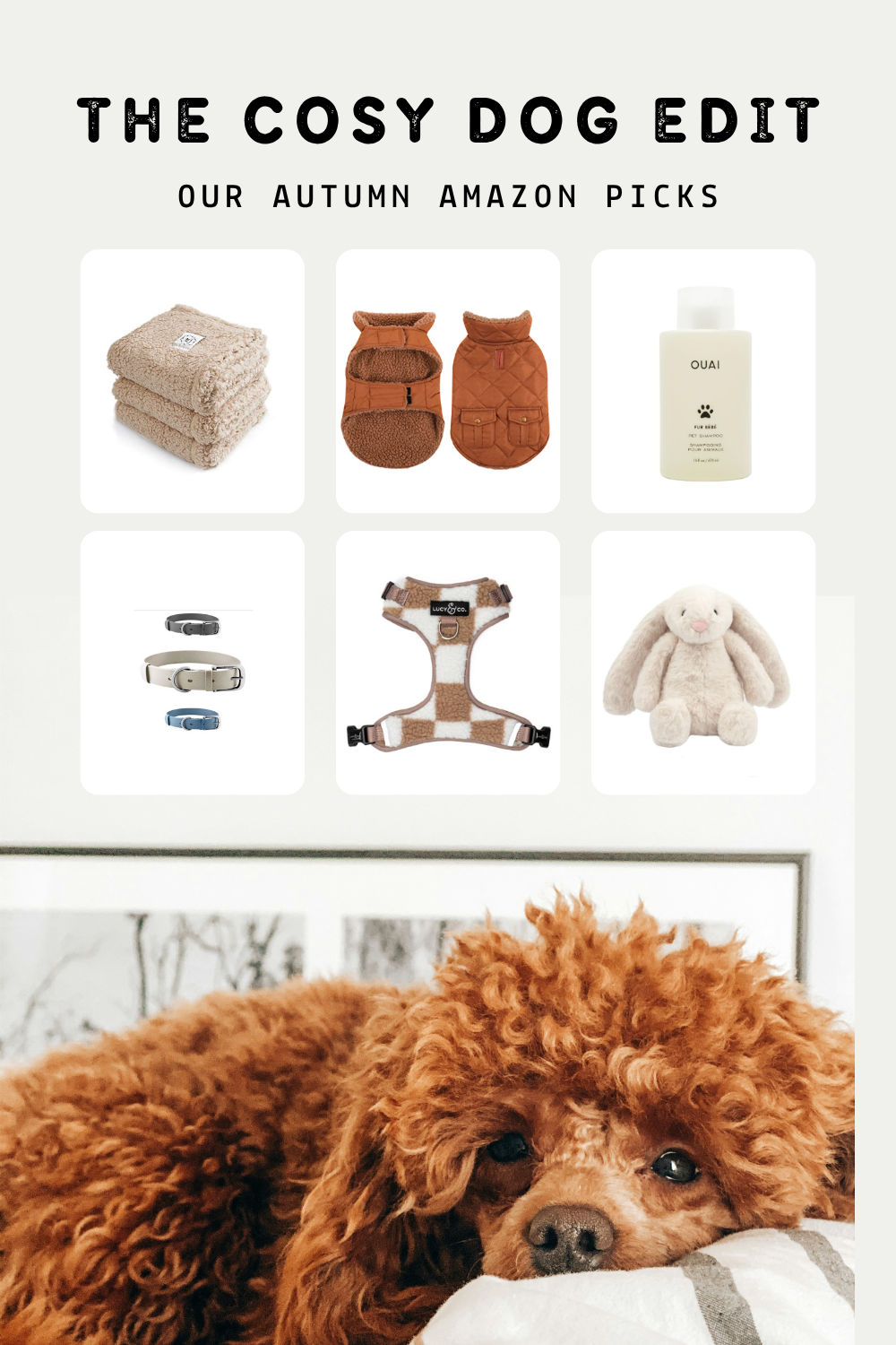 LOOKBOOK – The Cosy Dog Edit – Amazon Picks