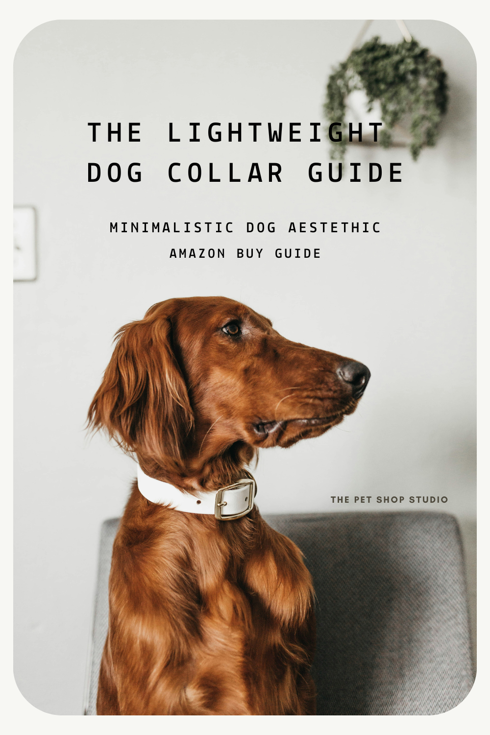 LOOKBOOK – The Lightweight Dog Collar Guide