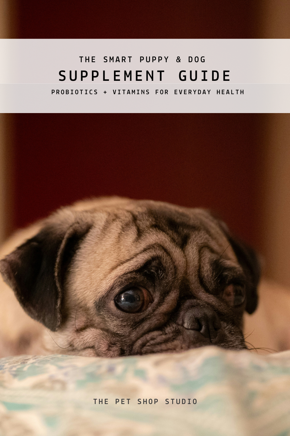 LOOKBOOK – The Smart Puppy & Dog Supplement Guide